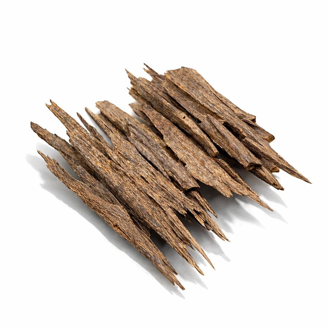 عود هندي كلكاسي ربدان